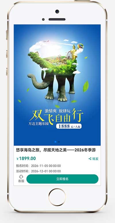 (独立手机版)单页落地页推广带复制微信号Wordpress模板预览图