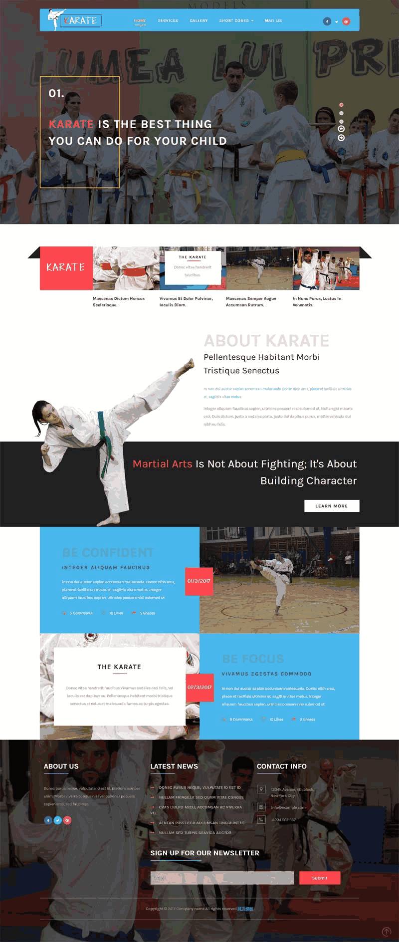 宽屏的儿童跆拳道培训教育网站Wordpress模板（带手机版）效果图