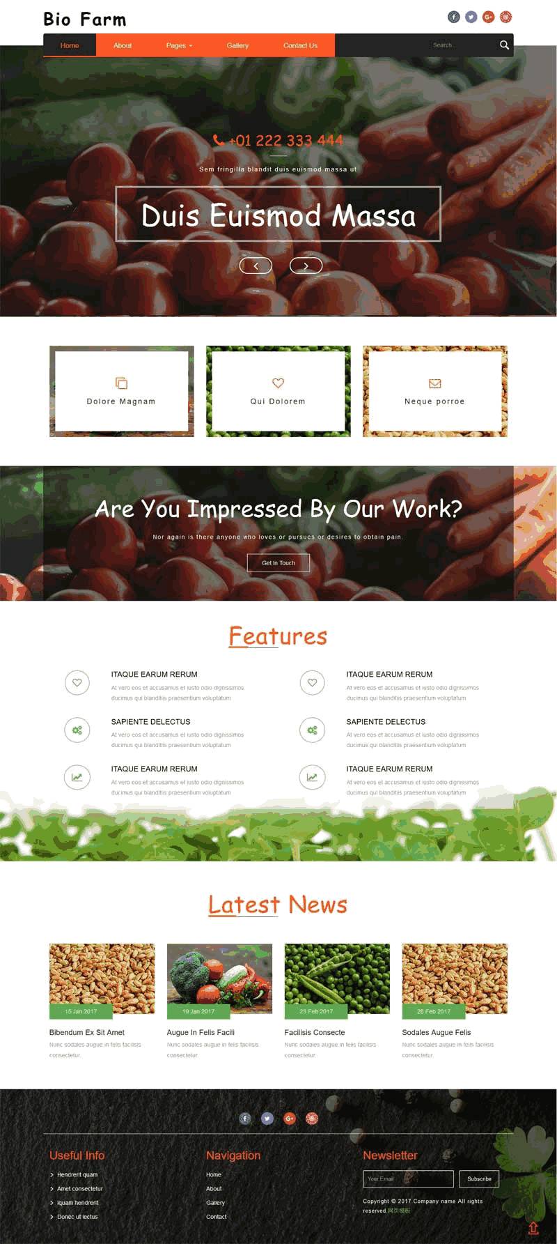 大气的有机蔬菜水果种植网站Wordpress模板（带手机版）效果图