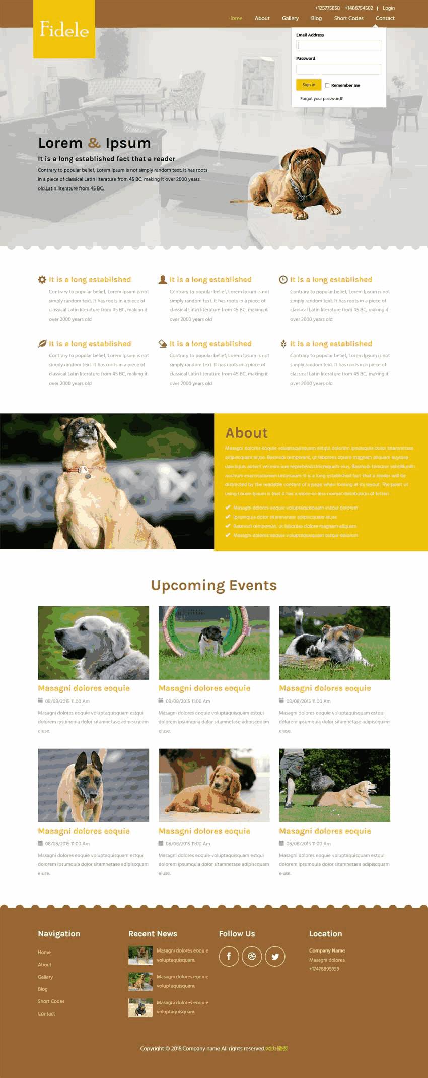 扁平化宽屏的宠物俱乐部网站Wordpress模板（带手机版）效果图