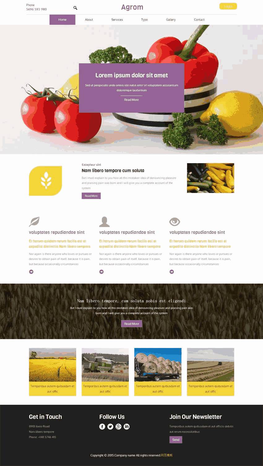 国外宽屏的蔬菜种植农业网站Wordpress模板（带手机版）效果图