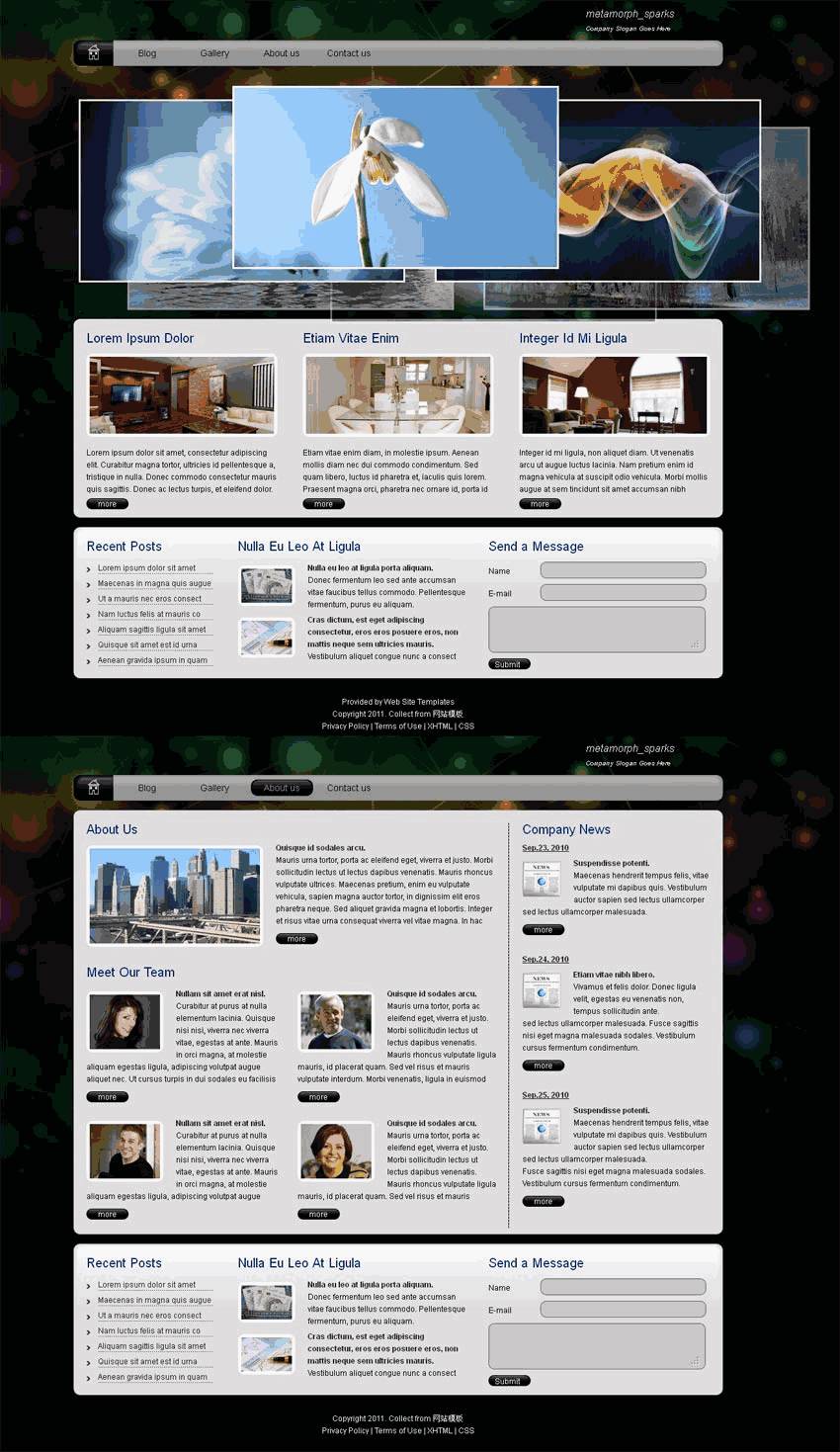 黑色简单的国外摄影网站Wordpress模板_摄影网站（带手机版）效果图