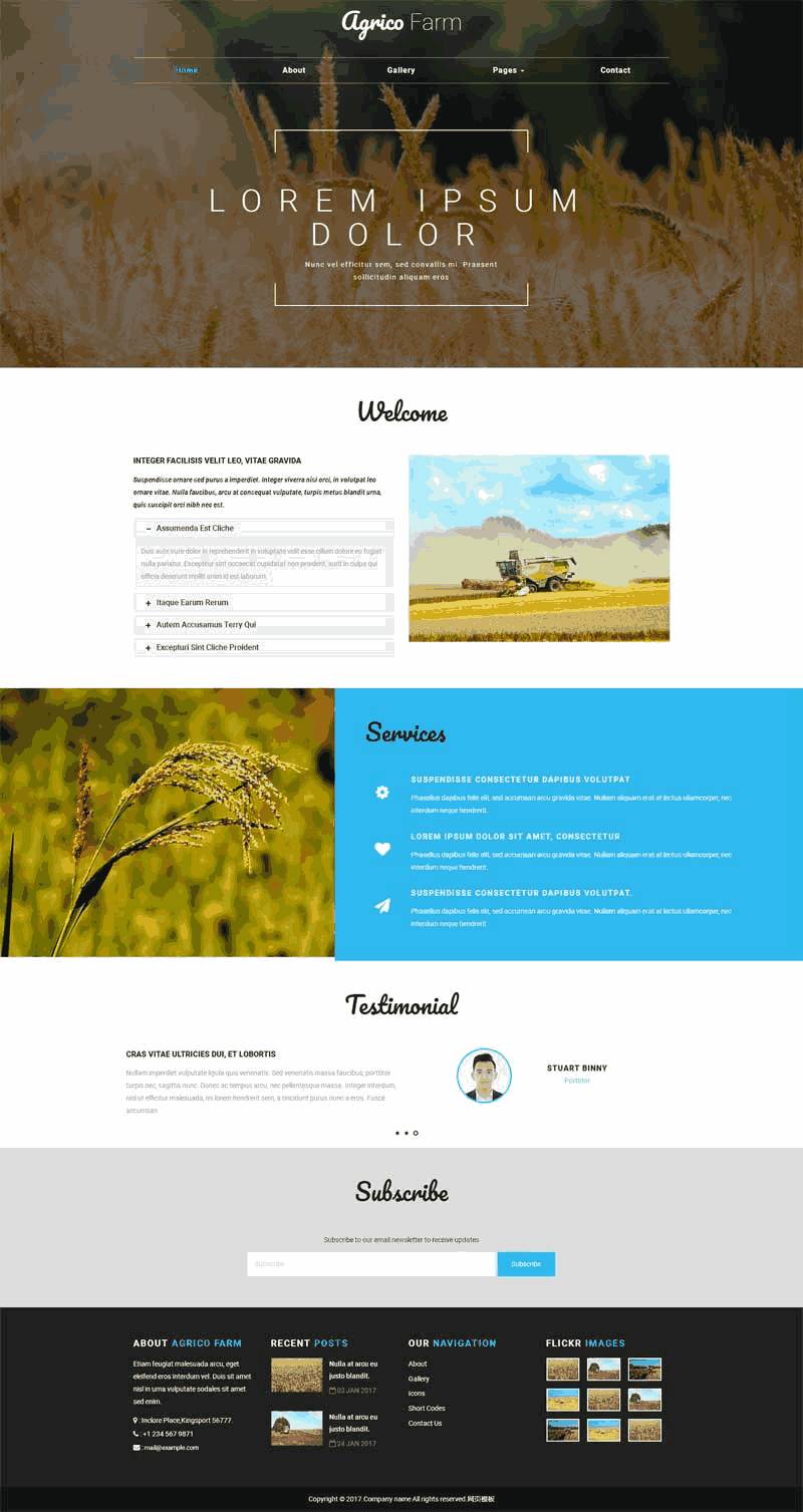 简单宽屏的稻谷农业生产公司网站Wordpress模板（带手机版）效果图