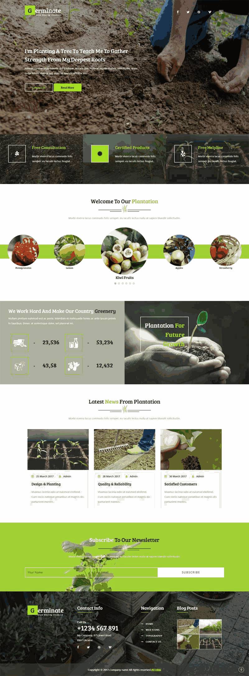 绿色宽屏的蔬菜水果农业种植网站Wordpress模板（带手机版）效果图