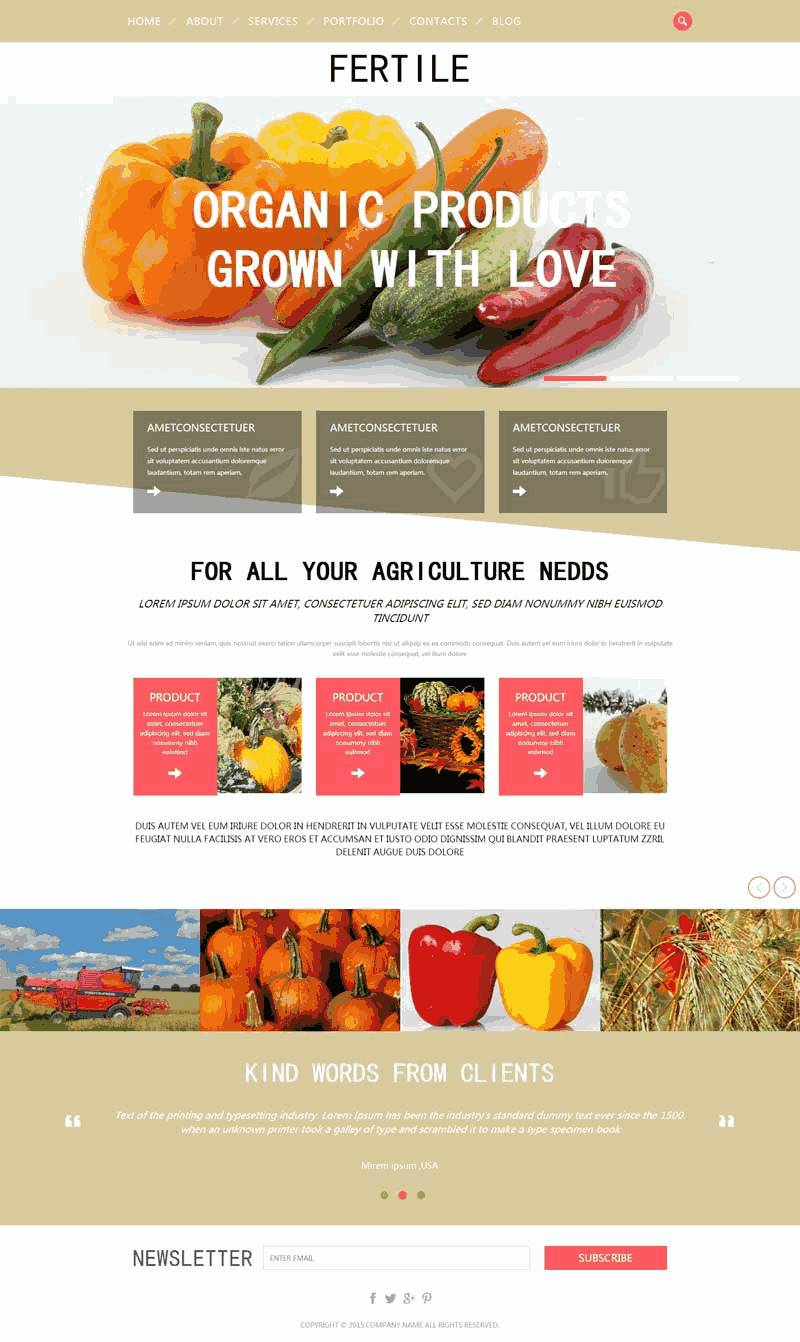 简单的国外蔬菜水果种植生产网站Wordpress模板（带手机版）效果图