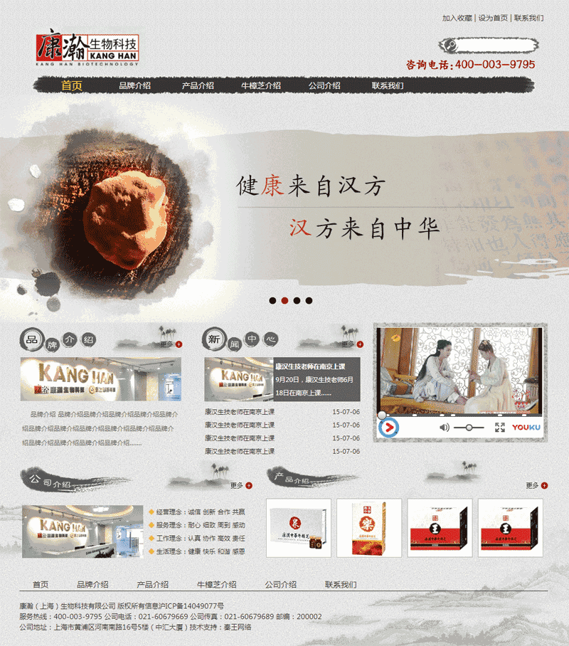 中国水墨风格的健康医药介绍网站Wordpress模板（带手机版）效果图