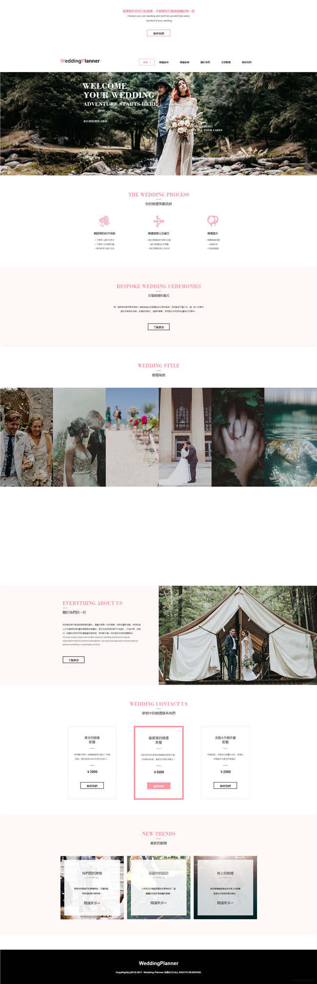 响应式婚礼策划婚纱摄影演出策划网站Wordpress模板预览图