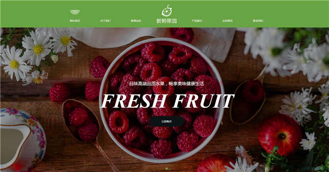 响应式蔬果食品饮料生鲜茶酒网站Wordpress模板预览图