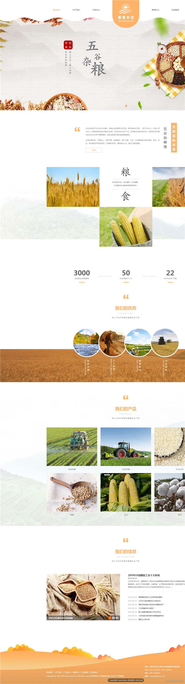 响应式农贸企业农业贸易进出口农产品网站Wordpress模板预览图
