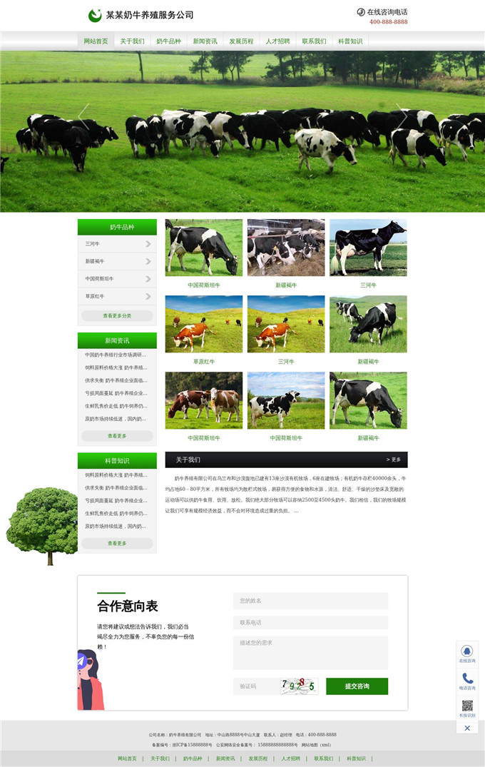 奶牛养殖公司网站模板展示图